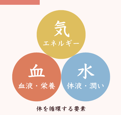 気・血・水 体を循環する要素